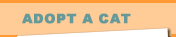 Adopt a Cat