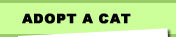 Adopt a Cat
