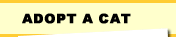 Adopt a Cat